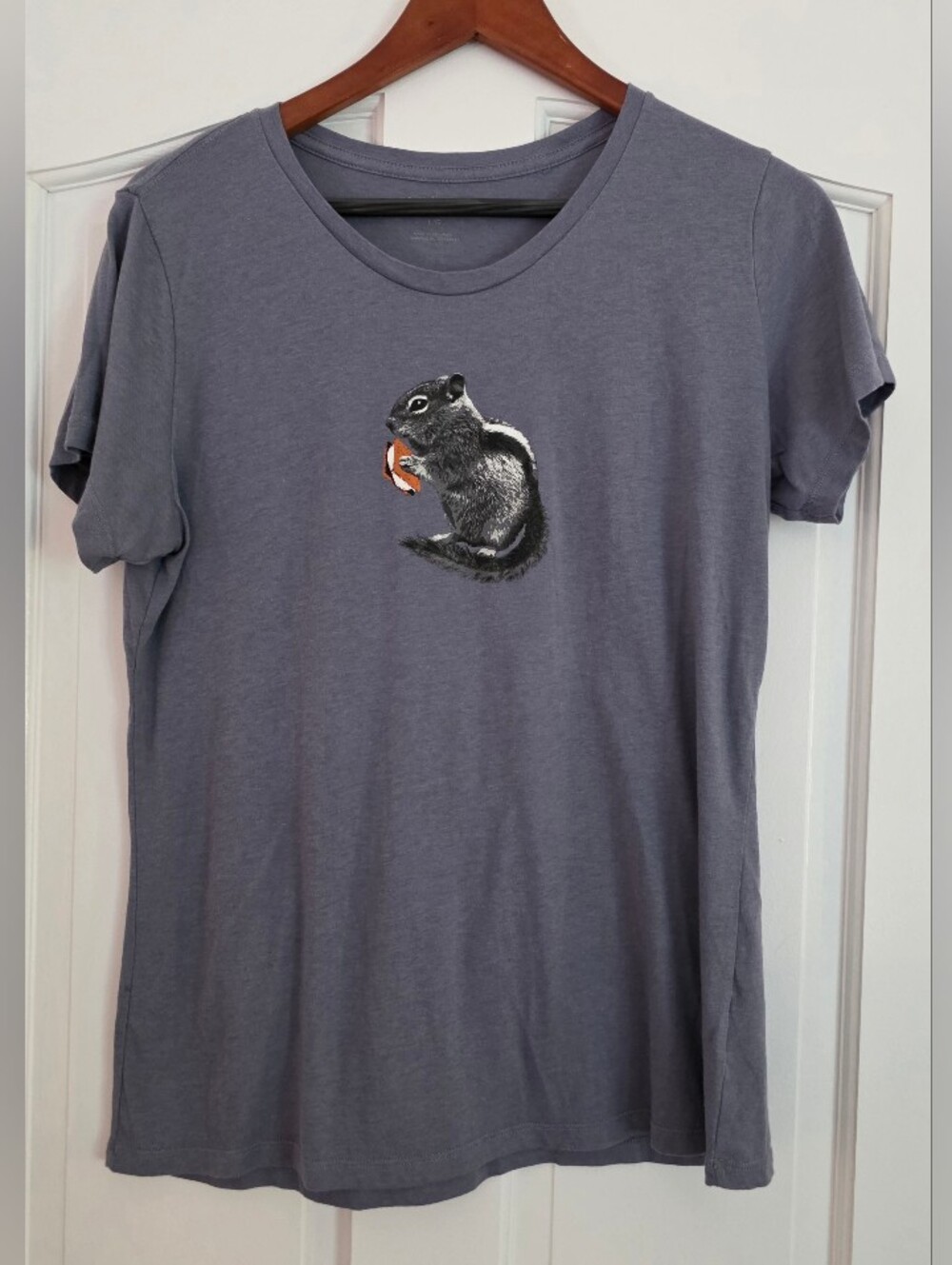Chipmunk S'more Graphic Columbia Blue-Gray Short Sleeve Crew Neck T-Shirt L